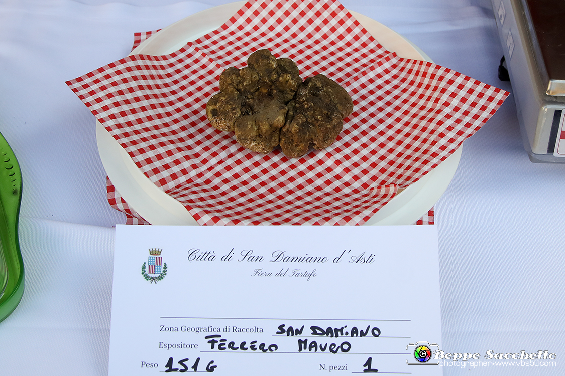 VBS_5661 - 10.ma Fiera Nazionale del Tartufo e Fiera dei Santi.jpg